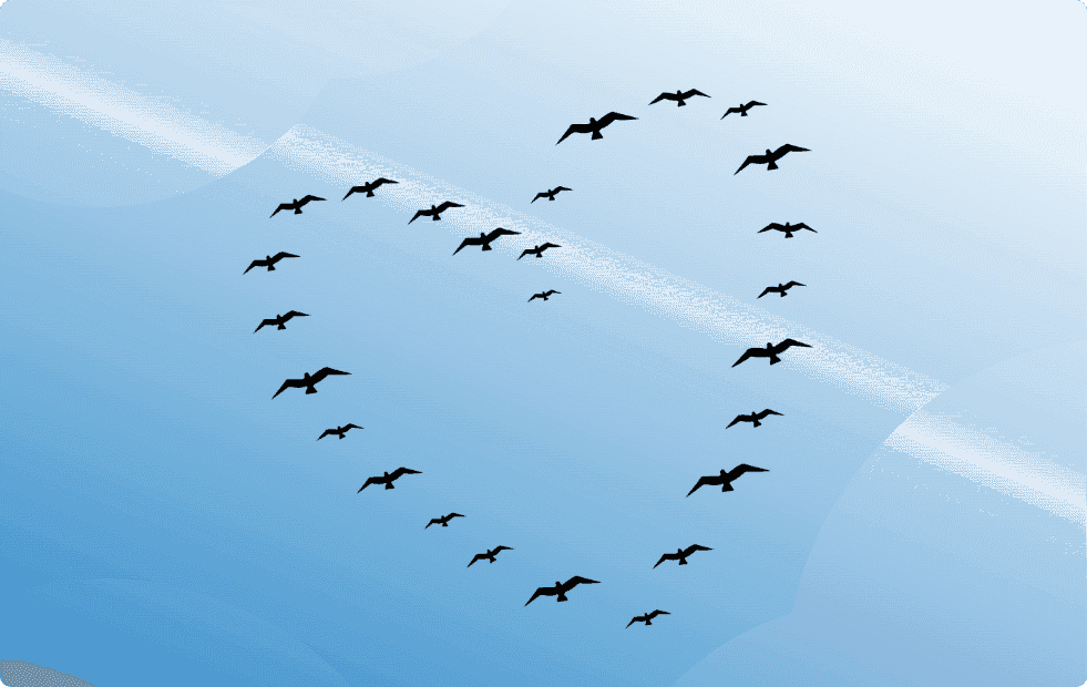 collective-bg-img.png